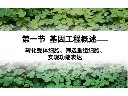 第一章 基因工程第1节 基因工程(3)