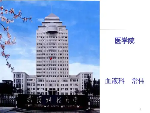 慢性粒细胞性白血病精品PPT课件