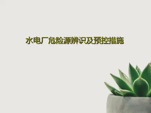 水电厂危险源辨识及预控措施21页PPT