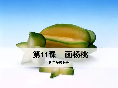 部编版三年级语文下册《画杨桃》课件
