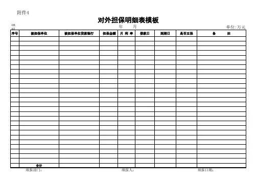 对外担保明细表模板