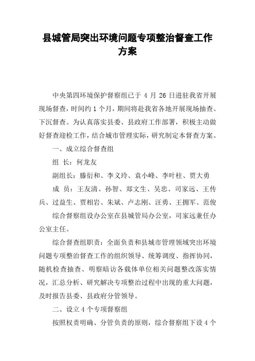 县城管局突出环境问题专项整治督查工作方案