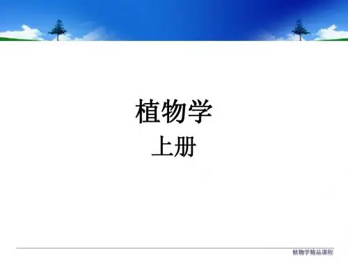 绪论