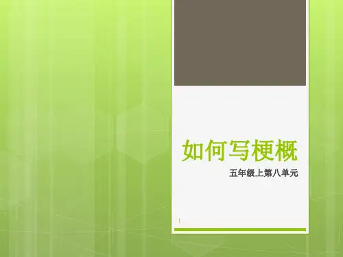 如何写梗概ppt课件