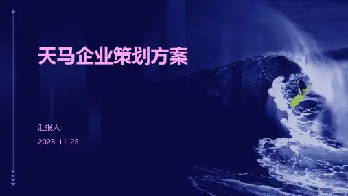 天马企业策划方案