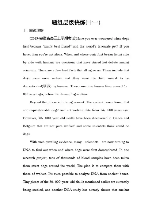 外研版英语高三总复习(课件)作业11高考调研2020一轮总复习