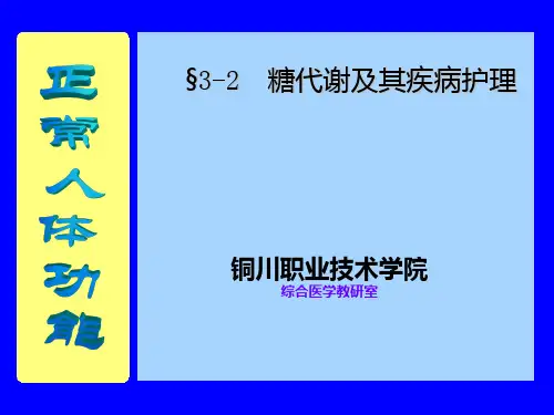 正常人体功能糖代谢PPT课件