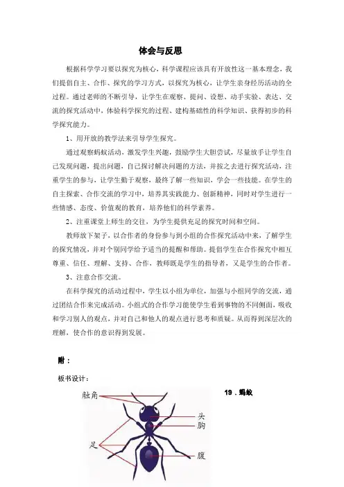 小学科学三年级下册《蚂蚁》教学反思 