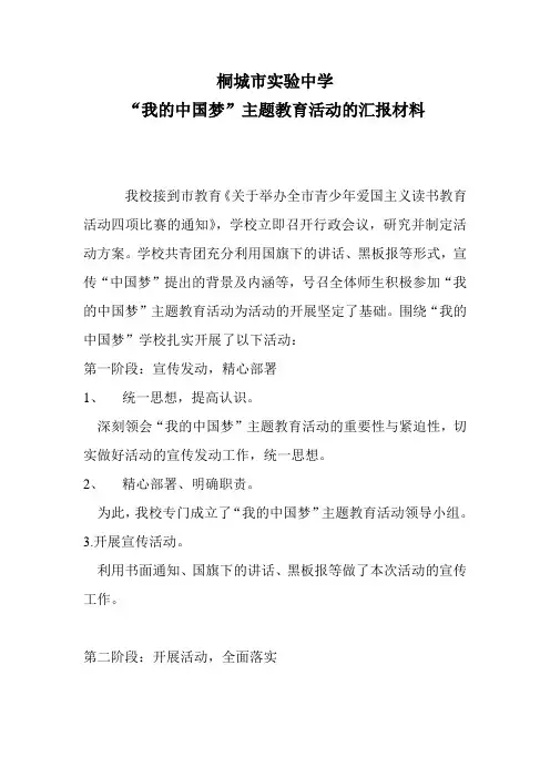 中国梦活动总结 Microsoft Word 文档
