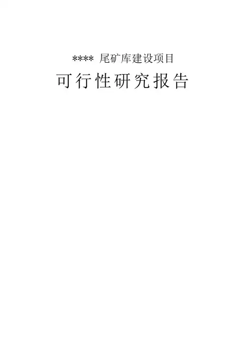 矿山尾矿库建设项目可行性研究报告