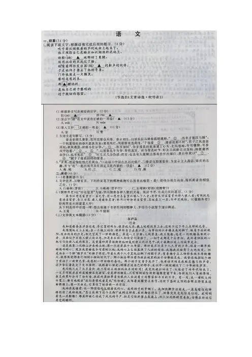 浙江省丽水2019年中考语文试卷及答案