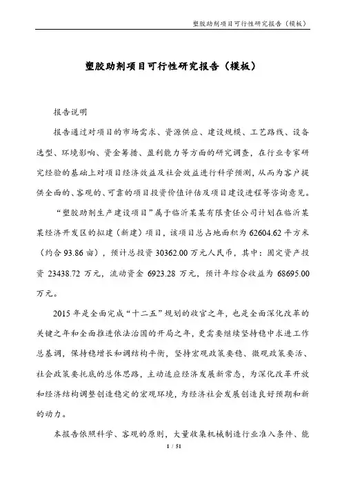 塑胶助剂项目可行性研究报告(模板)