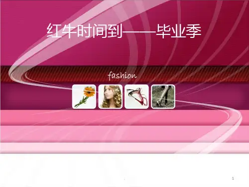 红牛的品牌分析PPT课件
