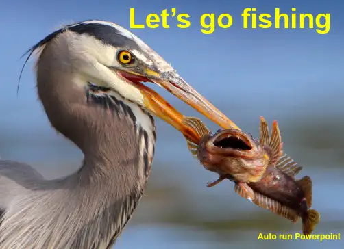 Let's go fishing