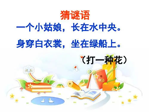 部编版荷花课件.ppt1