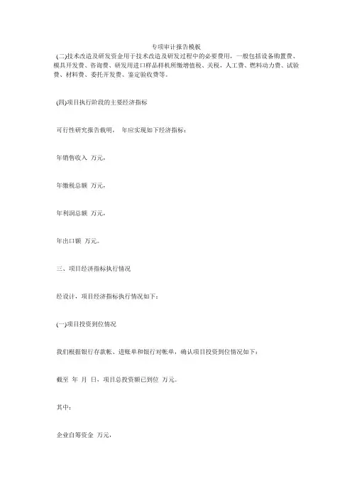 专项审计报告模板