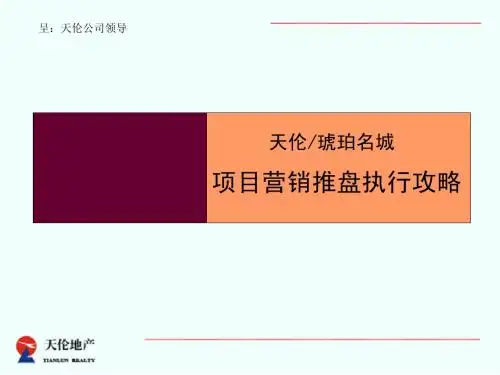 9E天伦琥珀名城项目营销推盘执行攻略2007