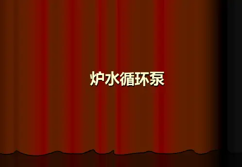 炉水循环泵
