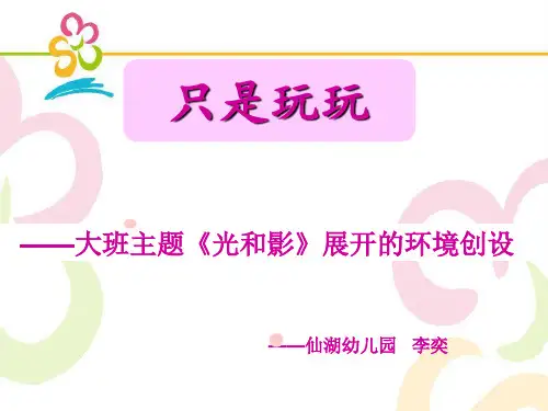 大班环境创设《光和影》