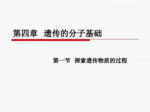 探索遗传物质的过程2