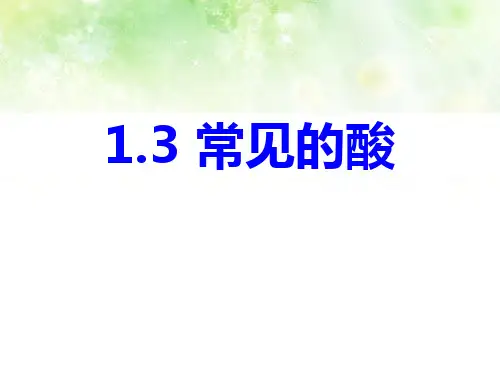 《常见的酸》PPT课件-完美版