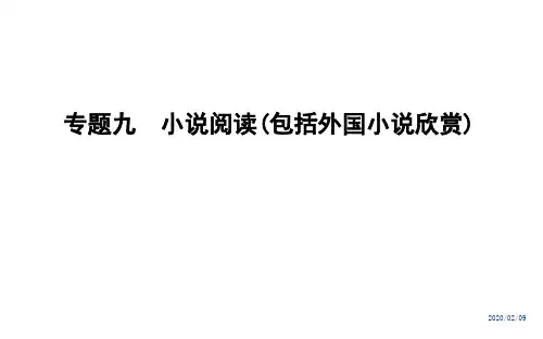 浙江2020届高三语文总复习课件：专题九 方案1 小说关键语句内涵与作用的解析