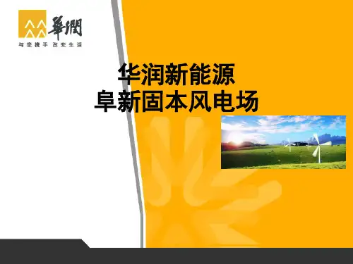 电气一次设备、系统运行方式简介
