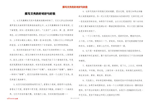 描写贝壳的好词好句好段 2