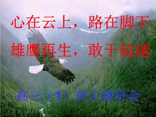心在云上,路在脚下;雄鹰再生,敢于超越1