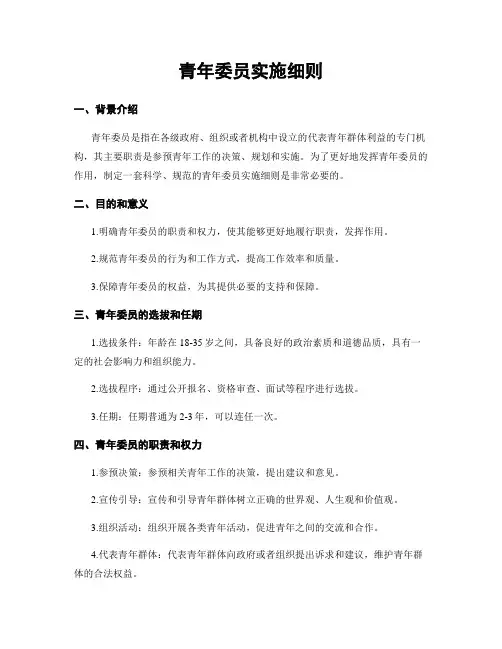 青年委员实施细则