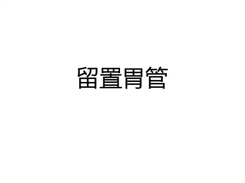 胃管