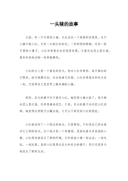 一头猪的故事