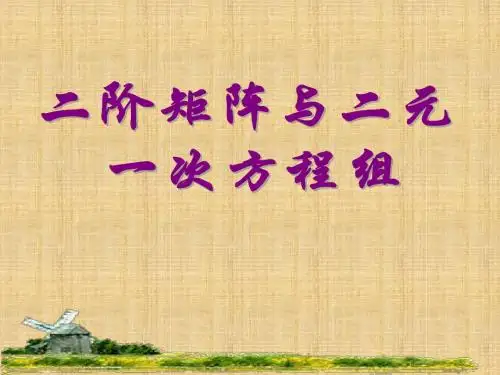 新课标人教A版高中数学选修4-2二阶矩阵和二元一次方程组课件