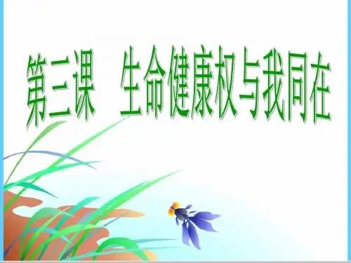 生命和健康的权利课件
