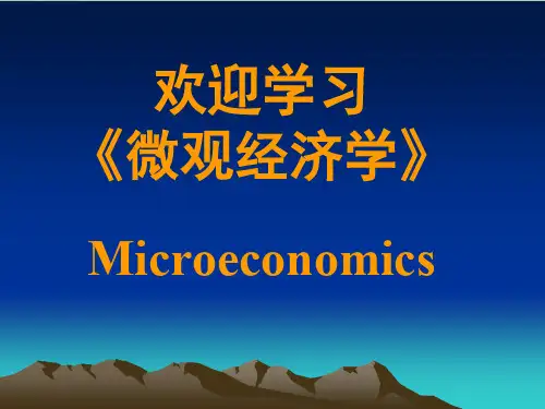 微观西方经济学与财务知识分析规范PPT课件