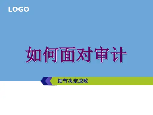 审计注意事项5.pptx