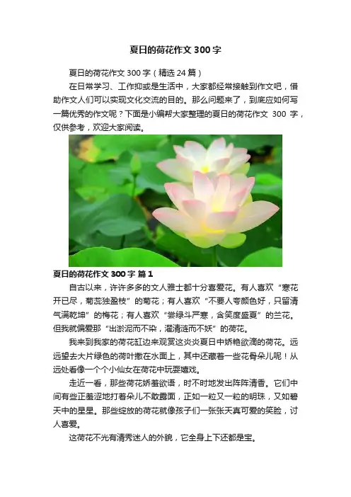 夏日的荷花作文300字