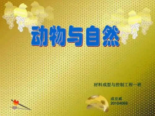 成亚威 审美与艺术鉴赏第一次作业