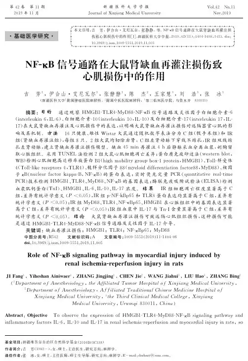 NF-κB信号通路在大鼠肾缺血再灌注损伤致心肌损伤中的作用