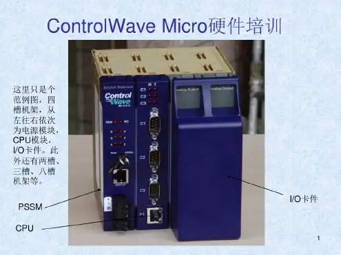 爱默生ControlWave分析(20201005143758)