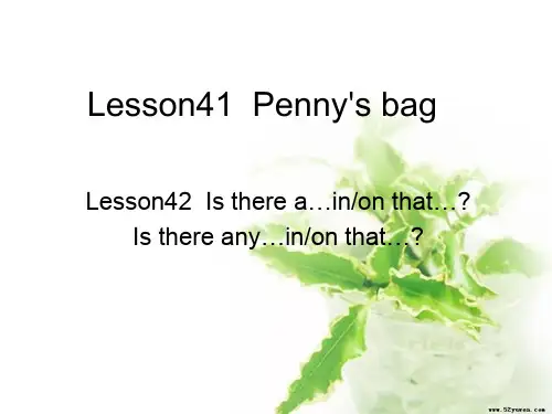 新概念lesson41-42