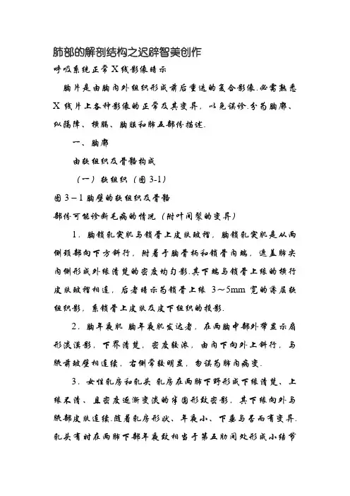 肺部的解剖结构