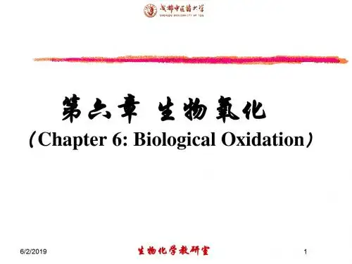 生物化学第六章生物氧化