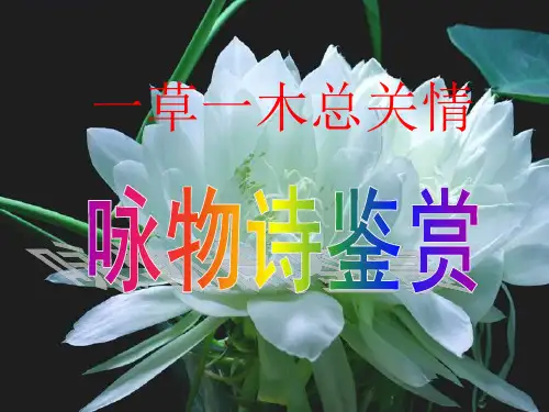 咏物诗歌鉴赏公开课课件