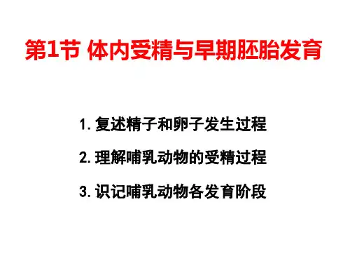 体内受精和早期胚胎发育课件-高二下学期生物人教版选修3