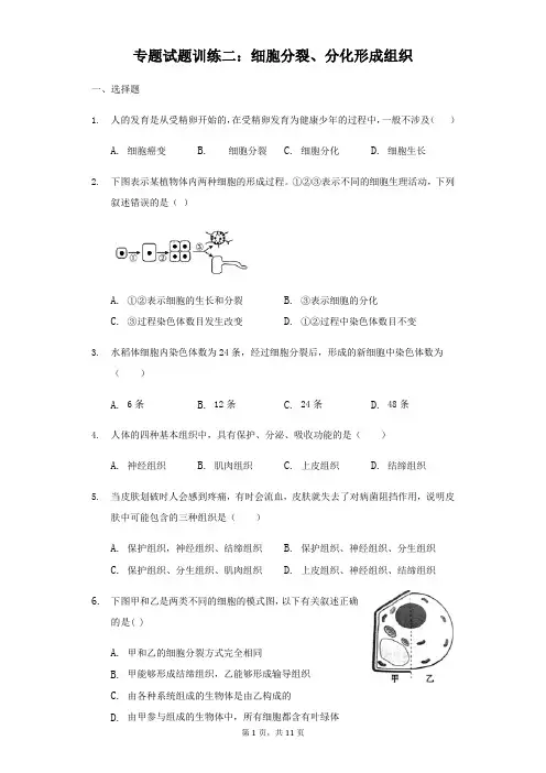 2019年中考生物专题试题训练二：细胞分裂、分化形成组织(含解析)