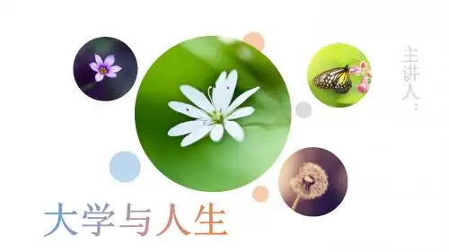 大学与人生