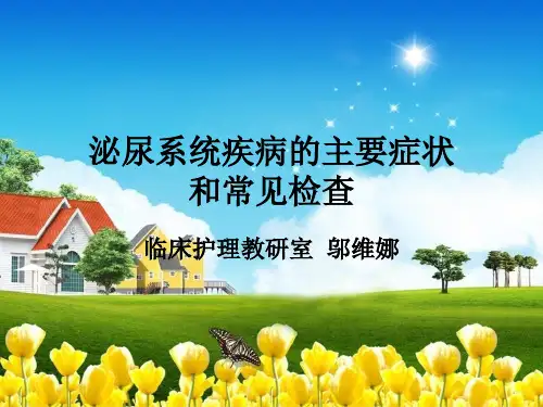 外科护理-2013级241 泌尿系统疾病的主要症状和常见检查
