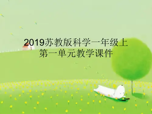 2019苏教版科学一年级上第一单元走进科学教学课件