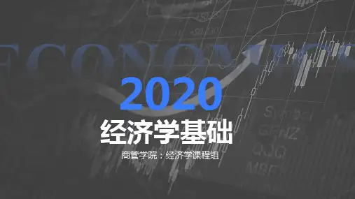 经济学基础导论ppt(2020最新版)